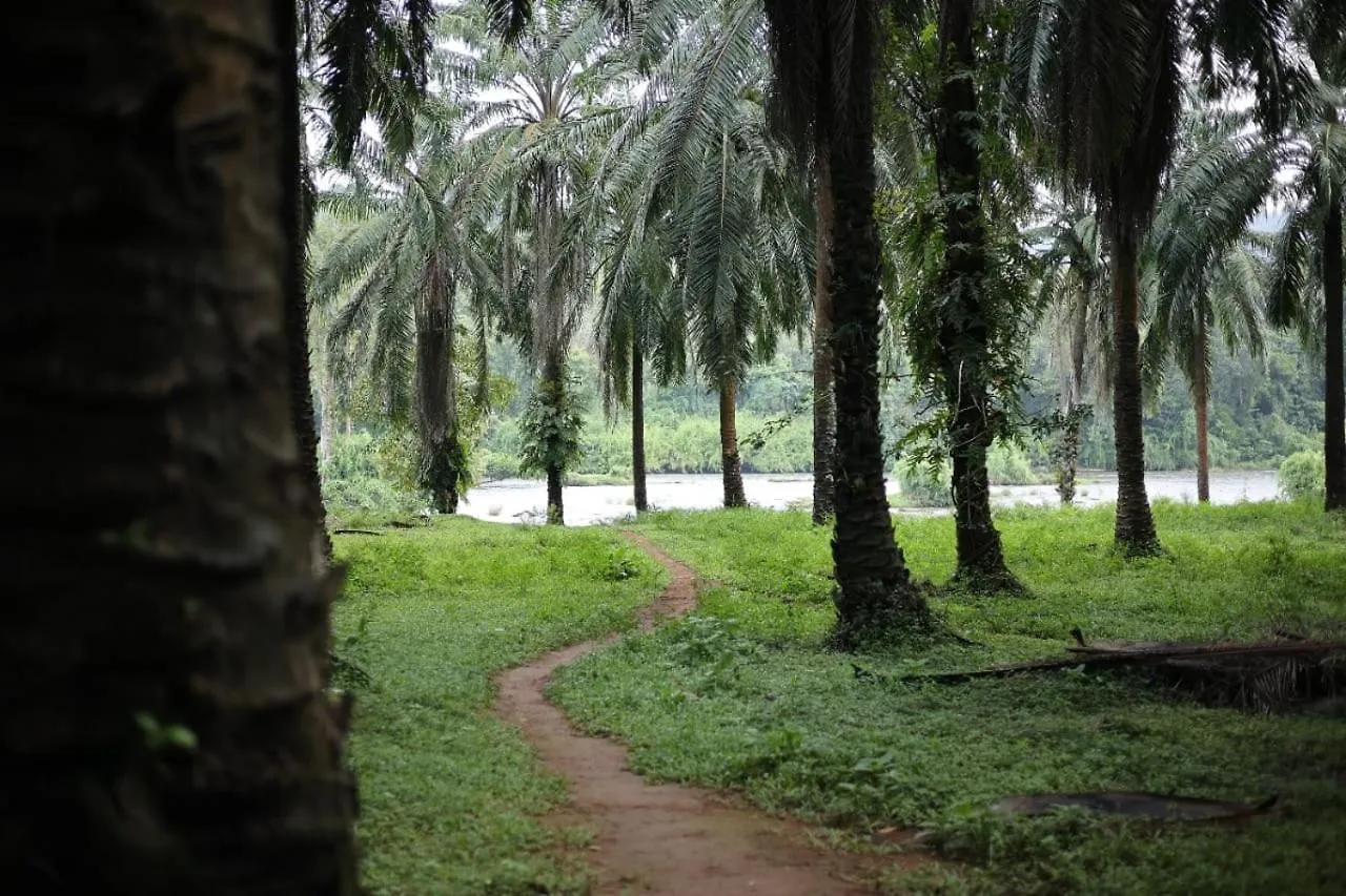 Magic Land Resorts Athirappilly Villa