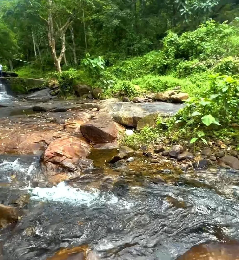 Magic Land Resorts Athirappilly